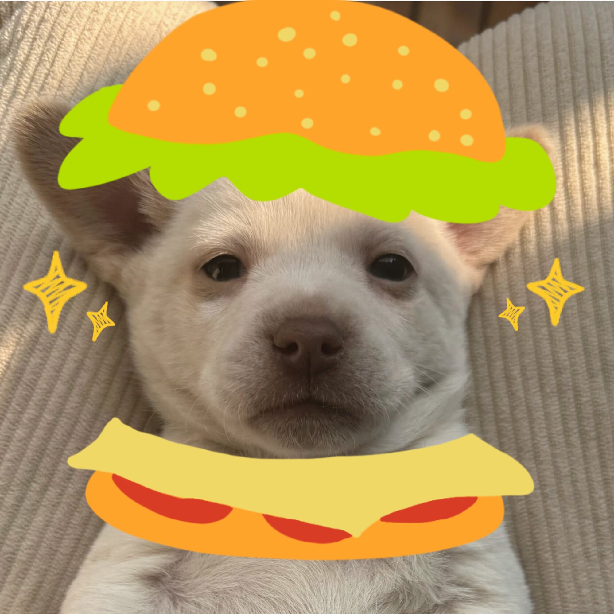 Hamburger～