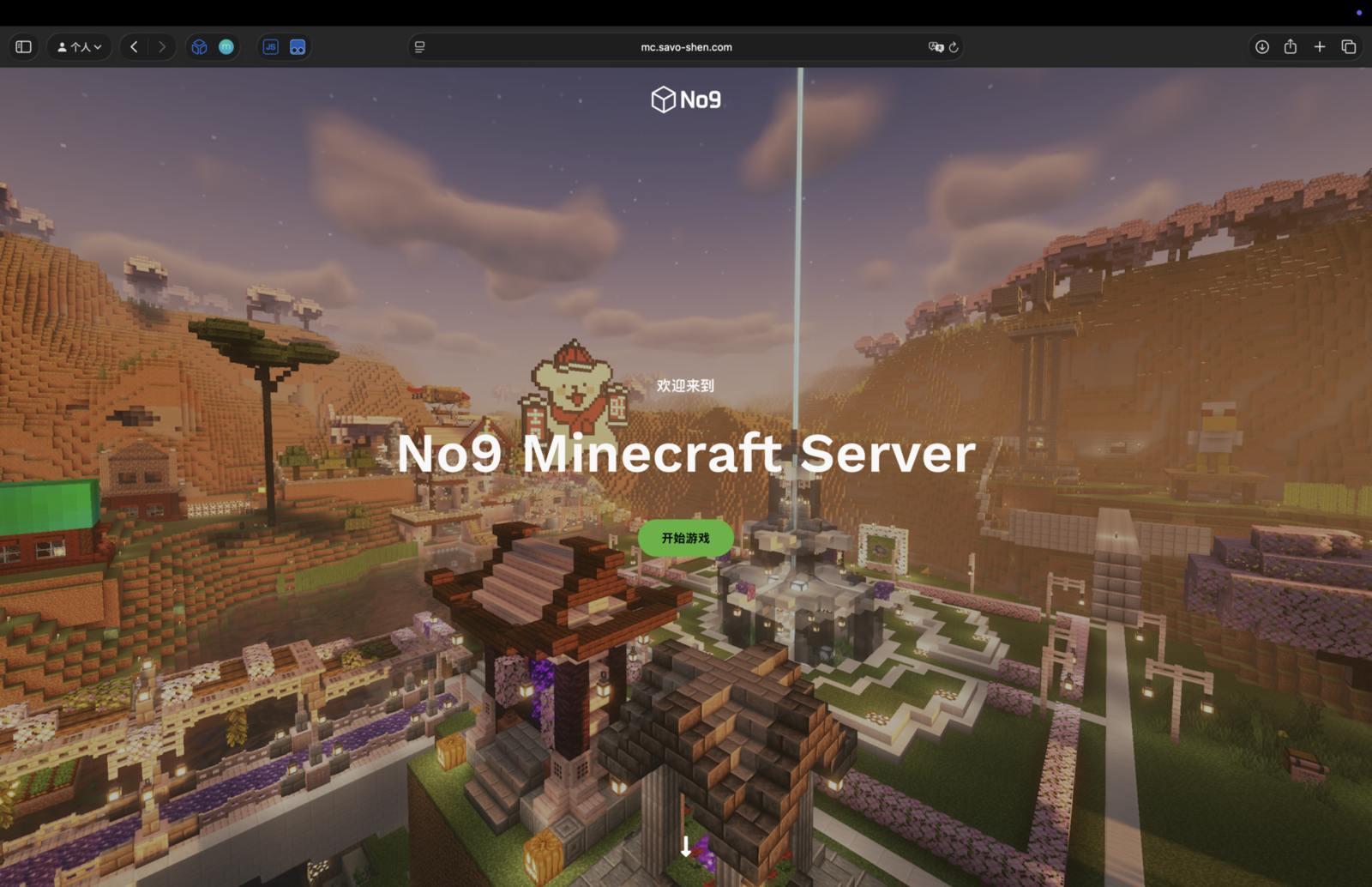 No9 Server Official Website Project Image