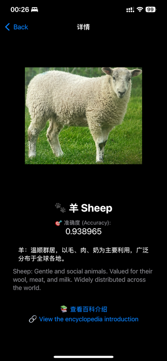 识别结果