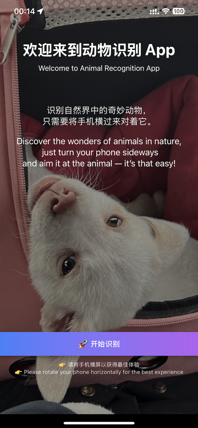 入口主页