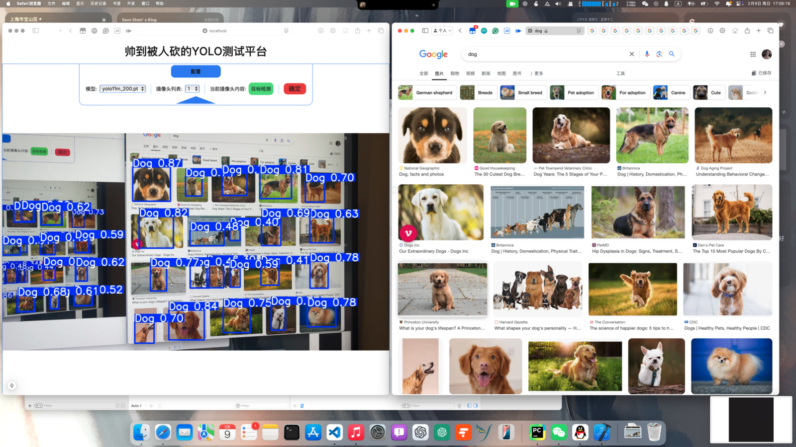 .pt模型性能